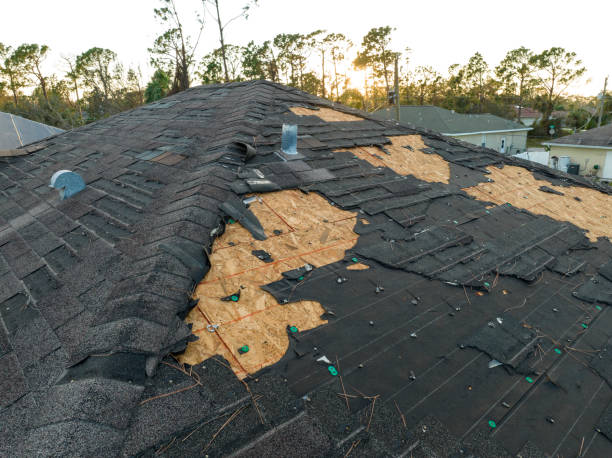Best Roof Moss and Algae Removal  in Philipsburg, MT