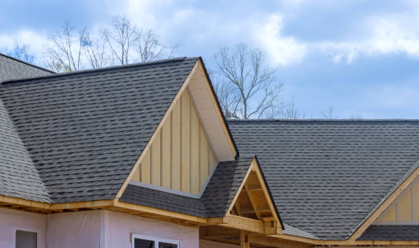 Best Roof Maintenance and Cleaning  in Philipsburg, MT